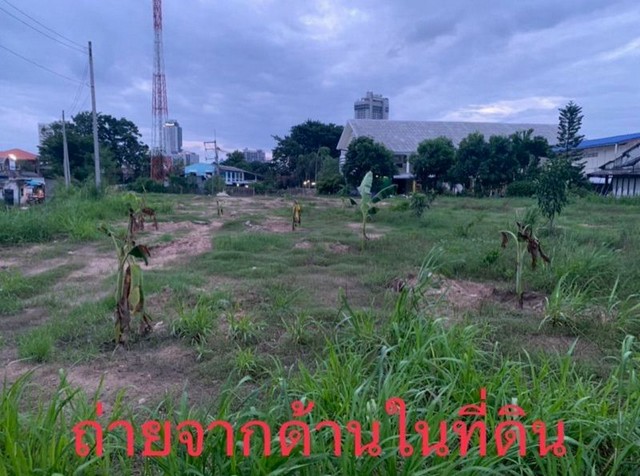 ขายที่ดินสวย ทำเลทอง ติดถนนเส้นหลัก ศรีราชา-หนองยายบู่ FP-L02453