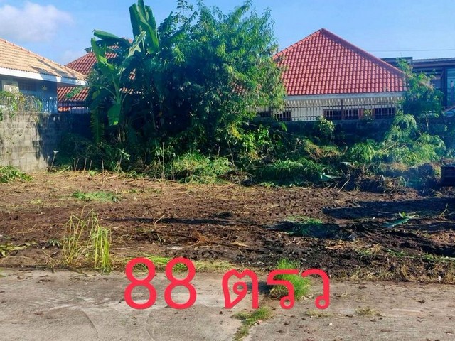 ขายที่ดินแปลงสวย พัทยา ทำลดี แหล่งชุมชน ซอยทุ่งกลม-ตาลหมัน FP-L02521