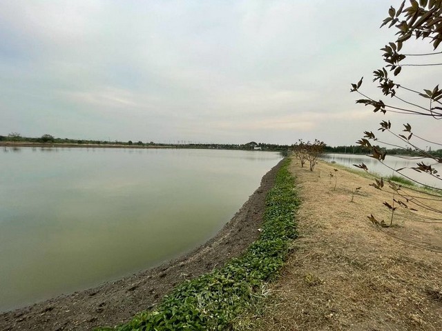 ขายที่ดินแปลงสวย สมุทรปราการ ศีรษะจรเข้ใหญ่ บางเสาธง FP-L02531