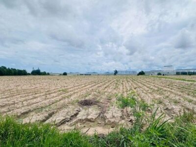 ขายที่ดินมาบยางพร ปลวกแดง ติดโรงงานอมตะชิตี้ระยอง FP-L02532