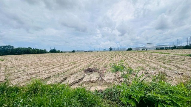 ขายที่ดินมาบยางพร ปลวกแดง ติดโรงงานอมตะชิตี้ระยอง FP-L02532