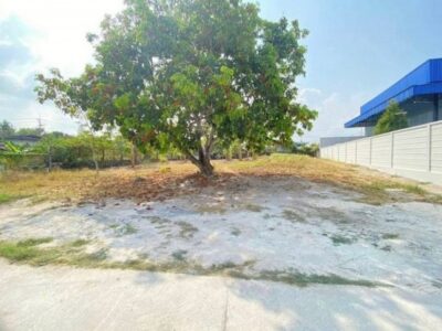 ขายที่ดินเปล่าทำเลดี 1 งาน บางพระ ศรีราชา ชลบุรี (บ้านห้วยกรุ) TP-L2544
