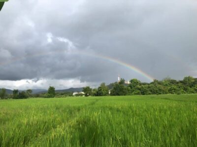 ขายที่ดินแปลงสวยผืนใหญ่ 26-3-47 ไร่ ต.ดอยเต่า อ.ดอยเต่า จ.เชียงใหม่