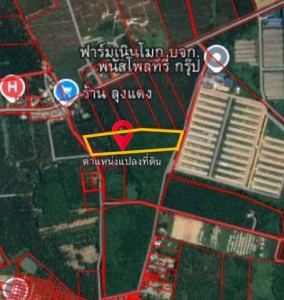 ขายที่ดินหนองอิรุณชลบุรี ที่ดินเนินโมก 10 ไร่ ต.หนองอิรุณ อ.บ้านบึง จ.ชลบุรี พื้นที่สีเหลือง( แบ่งขายได้ )