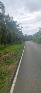 ขายที่ดินหนองอิรุณชลบุรี ที่ดินเนินโมก 10 ไร่ ต.หนองอิรุณ อ.บ้านบึง จ.ชลบุรี พื้นที่สีเหลือง( แบ่งขายได้ )