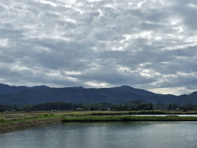 ขายที่ดินเปล่า ทำเลทอง วิวภูเขาติดคลองชลประทาน อ.พาน จ.เชียงราย