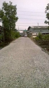 ขายที่ดินเปล่า นส4 มี2แปลง 68,69 ตรว. ล้านต้นๆ ที่ดินห่างจากถนนสุขุมวิทสายเก่าเพียง70 เมตร