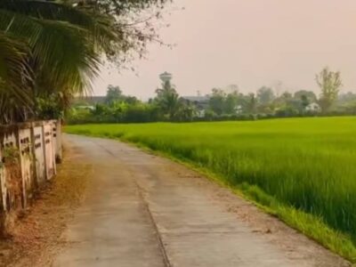 ขายที่ดินแปลงสวย ทำเลดี ตำบลสันกลาง อำเภอพาน จังหวัดเชียงราย เดินทางสะดวก ใกล้ถนนสายหลัก