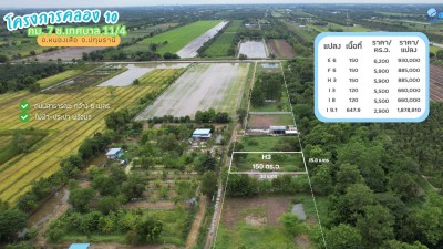ขายที่ดินคลอง 10 กม.7 เนื้อที่เริ่มต้นแปลงละ 120 ตารางวา อ.หนองเสือ จ.ปทุมธานี