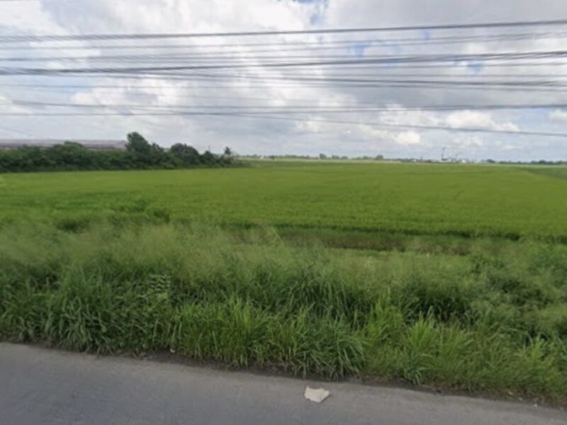 ขายที่ดินแปลงใหญ่ 33 ไร่ ทำเลศักยภาพ จ.ฉะเชิงเทราที่ดินแปลงใหญ่ เหมาะสำหรับนักลงทุน