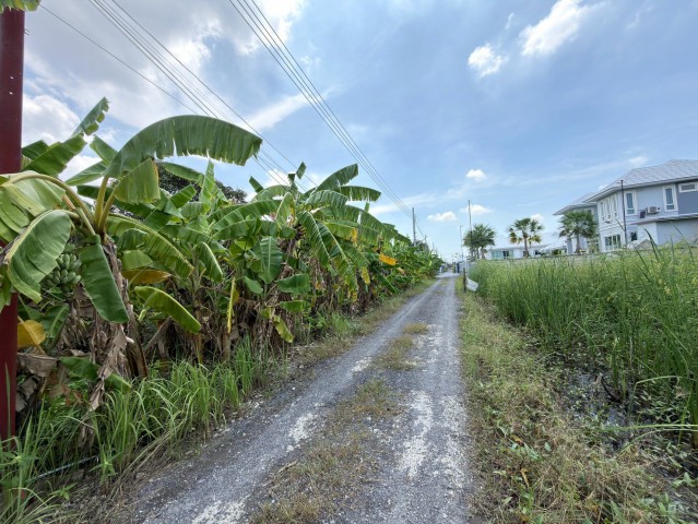 ขายที่ดินแปลงสวย 300 ตร.ว. ซอยกำนันเล็ก 2 (เพชรเกษม 69 หนองแขม)