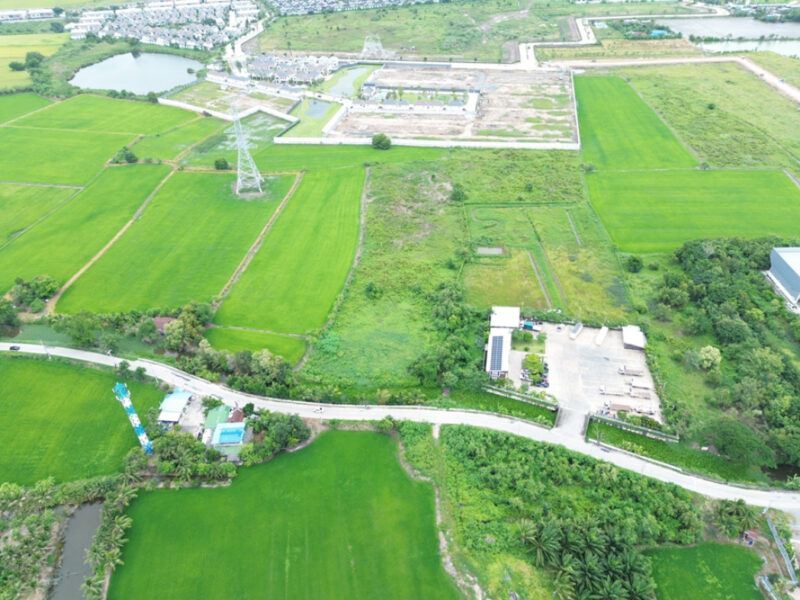 ขาย ที่ดิน ถ.เลียบคลองเกาะเกรียง บางคูวัด 9 ไร่ 21 ตรว เหมาะพัฒนาจัดสรร หรือซื้อเก็บทำจัดสรรได้