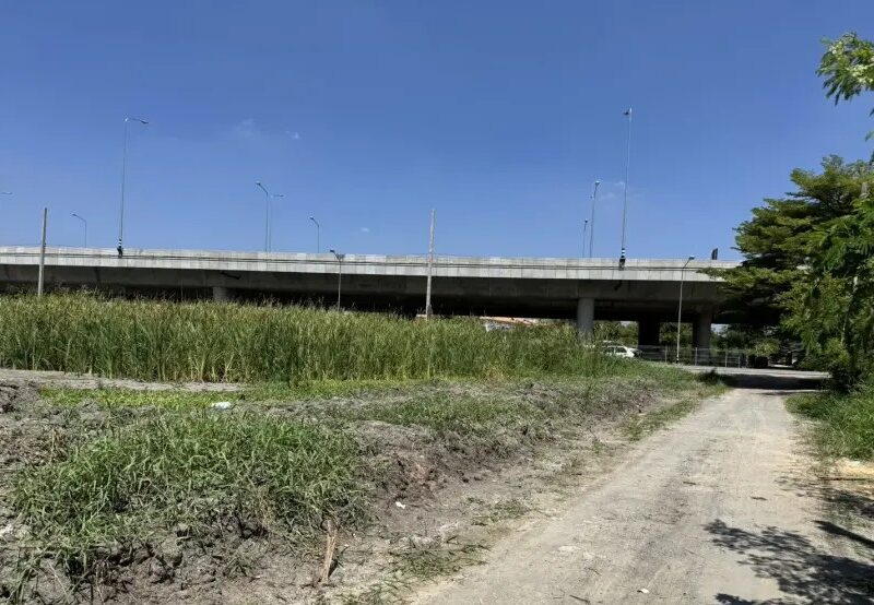 ขายที่ดินทำเลทอง โซนเสาธงหิน อำเภอบางใหญ่ จังหวัดนนทบุรี ทำเลศักยภาพเชื่อมต่อทุกการเดินทาง ใกล้เซ็นทรัลเวสต์เกตเพียง 5 นาที!