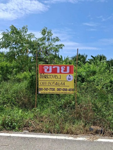 ขายที่ดิน 199 ตร.วา. ซ.โรงถ่าน ถนนทุ่งกระโจมทอง หลักสอง บ้านแพ้ว สมุทรสาคร