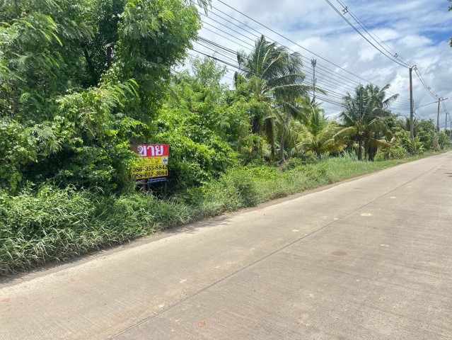 ขายที่ดิน-2-1-76-ไร่-ซอยวัดคู้เกษมสโมสร-ถนนตลาดปองพล-คลองอุดมชลจร-เมืองฉะเชิงเทรา