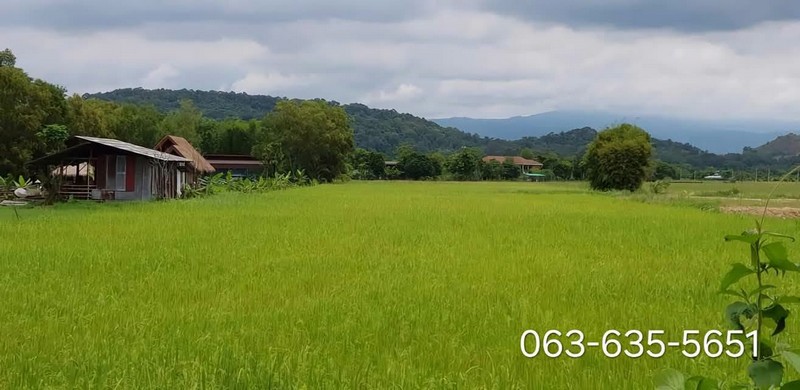 ถูกสุดในย่านนี้ ที่สวย วิวเขาล้อมรอบ แถมติดรีสอร์ต ย่านสาริกา อยู่หลังตลาดเท่ง ประมาณ 3.3 กม.