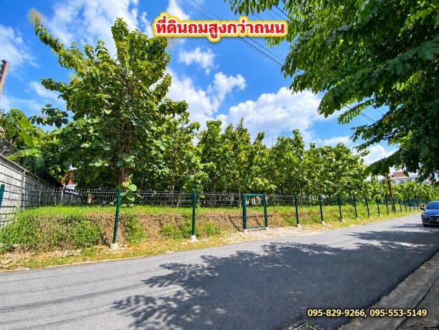 ขายที่ดินถมสูงกว่าถนน น้ำไม่ท่วมที่ดิน เข้าซอยเพียง 150 ม.1-3- 57 ไร่ สรงประภา 11 ล้อมรั้วแล้ว ทำเลดี ใกล้สนามบิน ดอนเมือง กรุงเทพฯ
