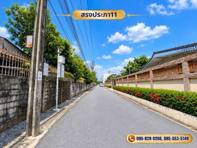 ขายที่ดินถมสูงกว่าถนน น้ำไม่ท่วมที่ดิน 1-3- 57 ไร่ สรงประภา 11 ล้อมรั้วแล้ว เข้าซอยเพียง 240 ม. ทำเลดี ใกล้สนามบิน ดอนเมือง กรุงเทพฯ