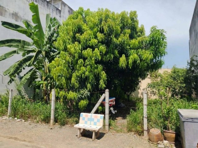 ขายที่ดินเปล่าใจกลางอู่ทอง สุพรรณบุรี 40 ตร.ว. ผังเมืองสีเหลือง ถมแล้วติดถนนสาธารณะ เหมาะลงทุนระยะยาว ใกล้แหล่งชุมชน