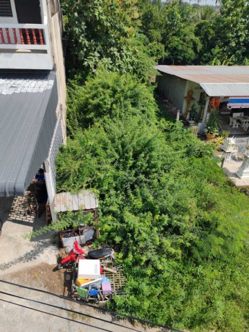 ที่ดินทำเลเด่น ติดถนนมาลัยแมน 80 ตร.วา ตรงข้าม โรงพยาบาลอู่ทอง สุพรรณบุรี เหมาะลงทุนและค้าขาย