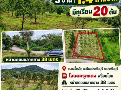 ขายสวนทุเรียนทำเลดี ราคาเบา ๆ ต.ดงขี้เหล็ก อ.เมืองปราจีนบุรี โฉนดครุฑแดง พร้อมโอน เหมาะทำบ้านสวน ปลูกผลไม้