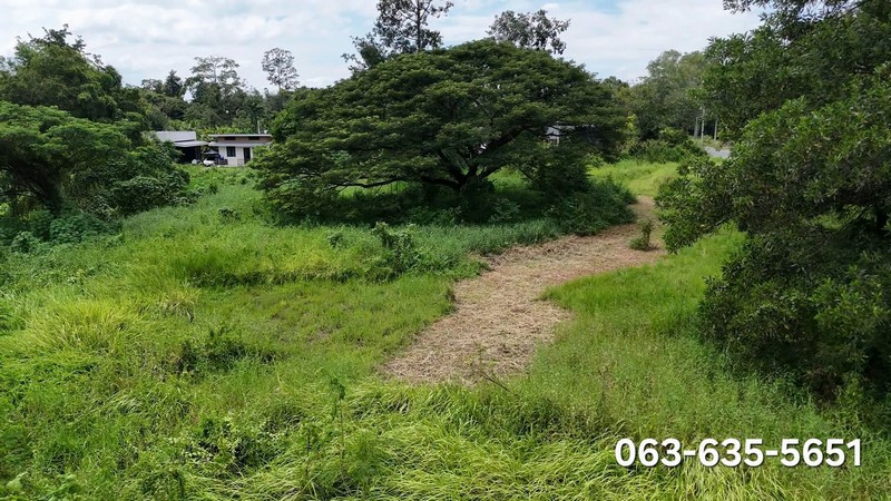 ขายที่สวยถมแล้ว ทำเลดี เข้าออกสะดวก เข้าจากถนน 4 เลน สายบ้านนา–แก่งคอย เพียง 90 เมตร