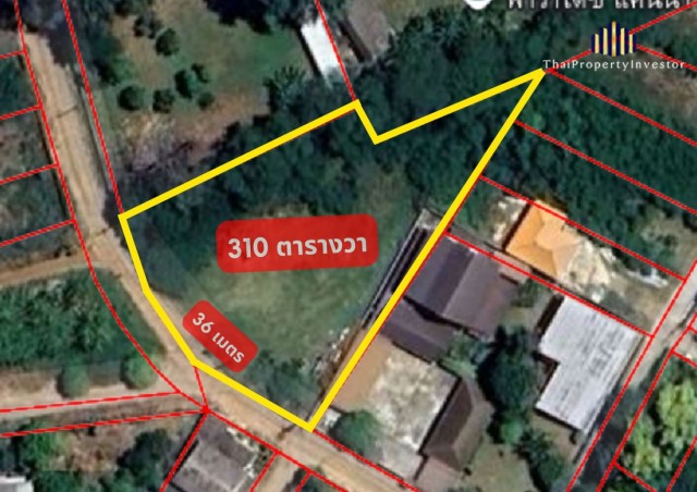 ขายที่ดินปากช่อง ในเมือง ใกล้ตลาดไนท์ 310 ตร.ว. ถมแล้ว ผังสีชมพู | 4.2 ล้านบาท