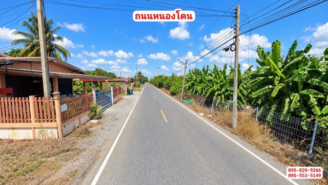ขายถูกที่ดินพร้อมบ้าน 1 ชั้นพร้อมเฟอร์ 2-0-4 ไร่ ติดถนนหลัก น้ำไม่ท่วม ไว้ยามพักผ่อนยามเกษียณหรือทำเกษตร,ใกล้ชุมชน,ตลาด อ. หนองโดน สระบุรี