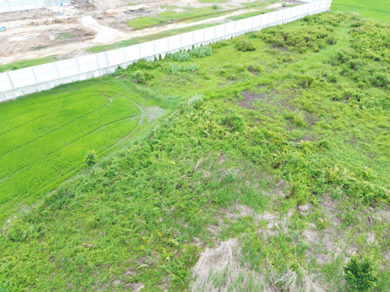 ขาย ที่ดิน ถ.เลียบคลองเกาะเกรียง บางคูวัด 9 ไร่ 21 ตรว เหมาะพัฒนาจัดสรร หรือซื้อเก็บทำจัดสรรได้