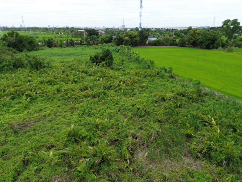 ขาย ที่ดิน ถ.เลียบคลองเกาะเกรียง บางคูวัด 9 ไร่ 21 ตรว เหมาะพัฒนาจัดสรร หรือซื้อเก็บทำจัดสรรได้