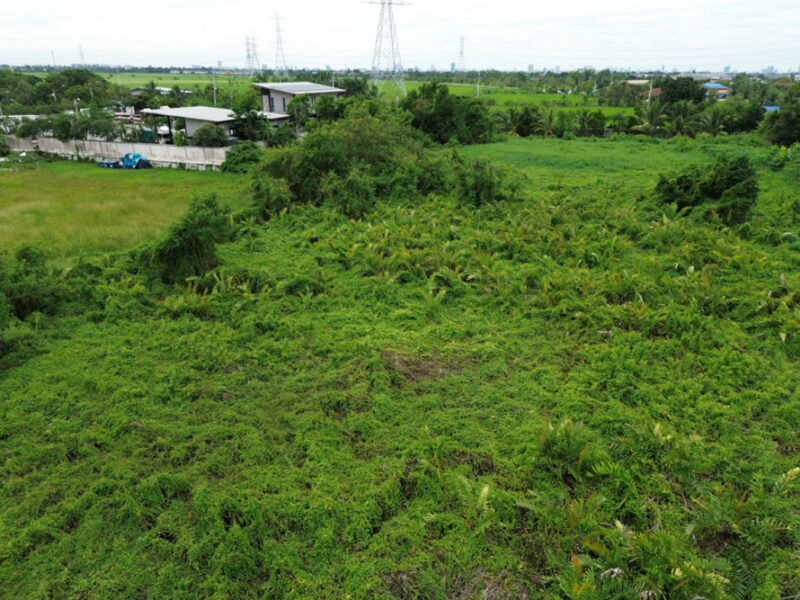 ขาย ที่ดิน ถ.เลียบคลองเกาะเกรียง บางคูวัด 9 ไร่ 21 ตรว เหมาะพัฒนาจัดสรร หรือซื้อเก็บทำจัดสรรได้