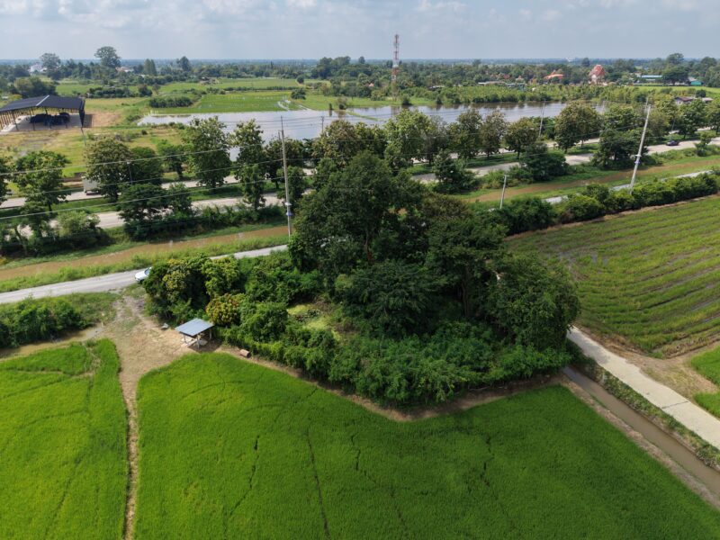 ขายที่ดินสุพรรณบุรี ศรีประจันต์ ติดถนนเลียบคลองชลประทาน เข้า-ออกสะดวก โฉนดครุฑแดง