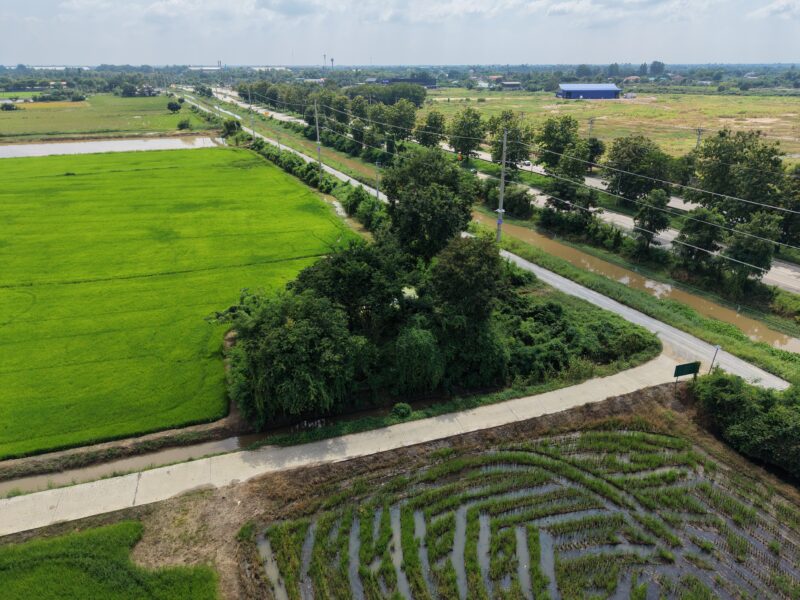 ขายที่ดินสุพรรณบุรี ศรีประจันต์ ติดถนนเลียบคลองชลประทาน เข้า-ออกสะดวก โฉนดครุฑแดง