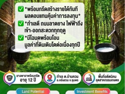 ขายด่วน ขายสวนยางพารา ขนาด 40 ไร่ มีโฉนด พร้อมโอน