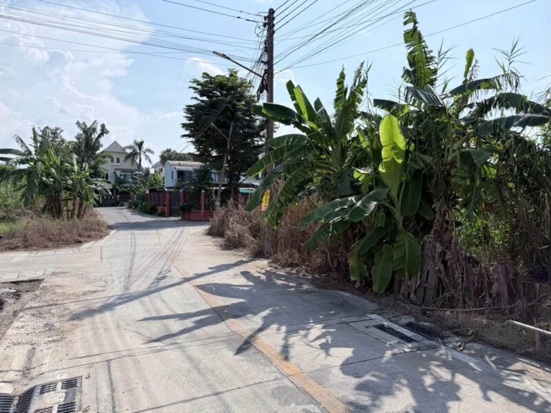 Vายที่ดิน 69 ตารางวา ติดถนนคอนกรีตสาธารณะ 2 ด้านแปลงมุม ชอย ทวีสุข บ้านกลาง เมืองปทุมธานี