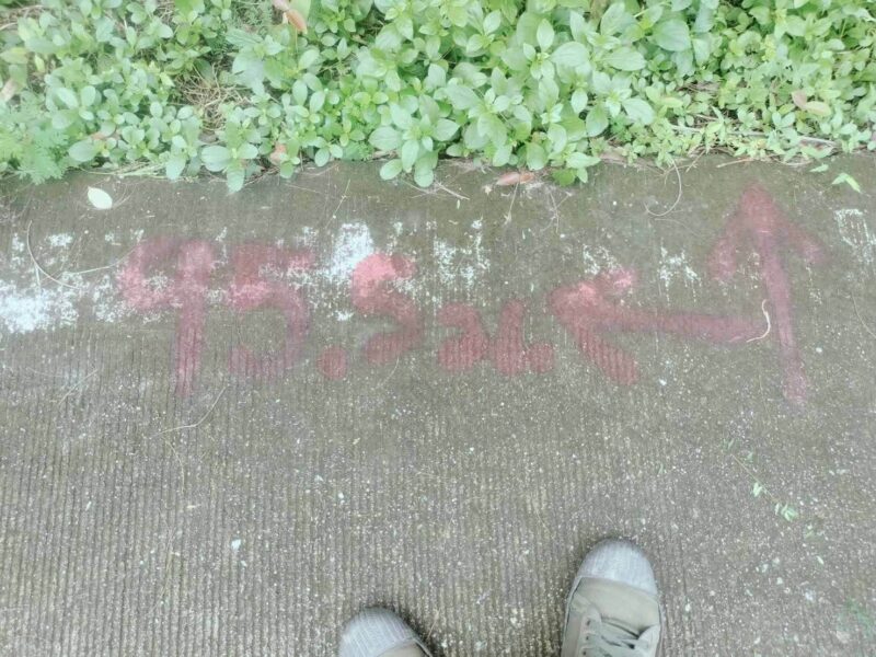 ขายด่วนที่ดินใกล้ตลาดเจ้าพระยาบางใหญ่ 2-2-10 ไร่ : ติดถนนคอนกรีตสาธารณะ ซอย บางกร่าง 45/3 บางกร่าง เมืองนนทบุรี