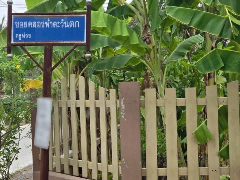 ขายด่วนที่ดิน 100 ตารางวา ติดถนนลาดยางสาธารณะ ซอยครูห่วง คลองหลวง ปทุมธานี
