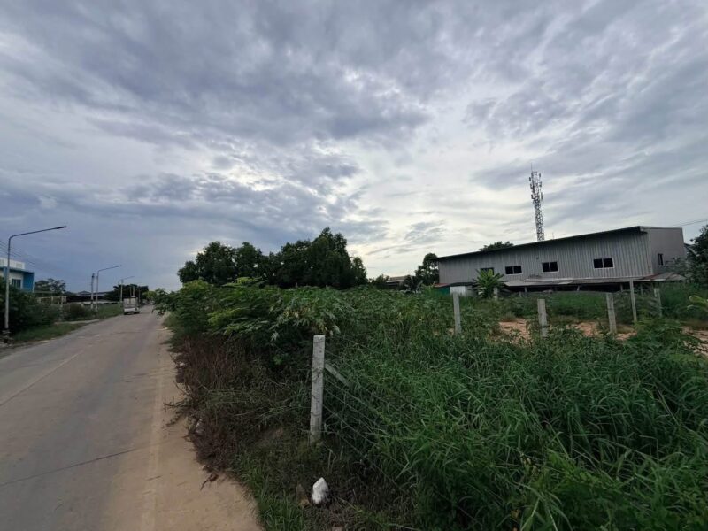 ขายด่วนที่ดินคลองสอง 363 ตารางวา ติดถนนคอนกรีต ซอย บงกช 69 อ.คลองหลวง จ.ปทุมธานี