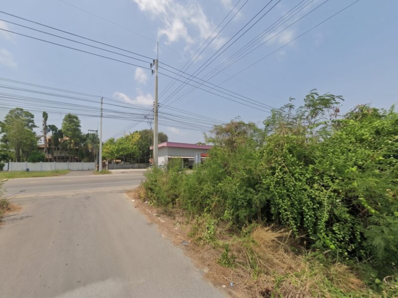 🏡 ขายที่ดินเปล่าแปลงสวย ขนาด 100 ตร.ว. ใกล้เมือง และโรงเรียนสามโคก การเดินทางสะดวก