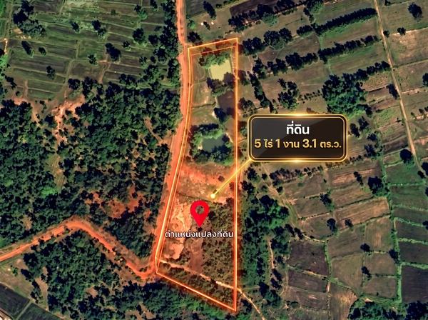 ขายที่ดิน อ.พิบูลมังสาหาร อุบลฯ 5 ไร่กว่า ราคาโคตรคุ้ม!