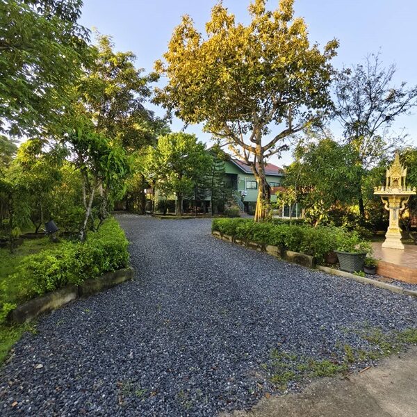 ขายบ้านสวน พร้อมที่ดิน 3 ไร่ อ.หนองเสือ จ.ปทุมธานี น้ำไม่ท่วม พร้อมเข้าอยู่ โทร 086-7777215 เจ้าของขายเอง