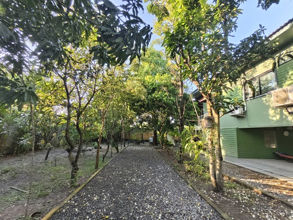 ขายบ้านสวน พร้อมที่ดิน รวม 3 ไร่ บึงกาสาม อ.หนองเสือ จ.ปทุมธานี น้ำไม่ท่วม เจ้าของขายเอง โทร.086-7777215