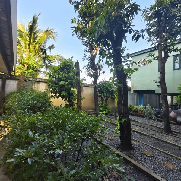 ขายบ้านสวน พร้อมที่ดิน 3 ไร่ อ.หนองเสือ จ.ปทุมธานี น้ำไม่ท่วม พร้อมเข้าอยู่ โทร 086-7777215 เจ้าของขายเอง