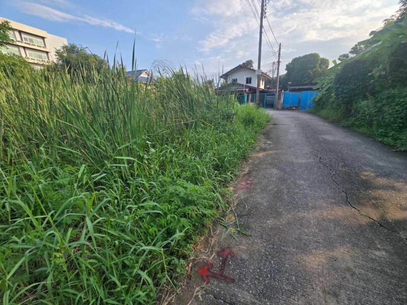 ขายด่วนที่ดินใกล้เทศบาลเมืองพิมลราช 60 ตรว ติดถนนคอนกรีตสาธารณะ แปลงมุม ซ.หมอเหลียง บางบัวทอง นนทบุรี