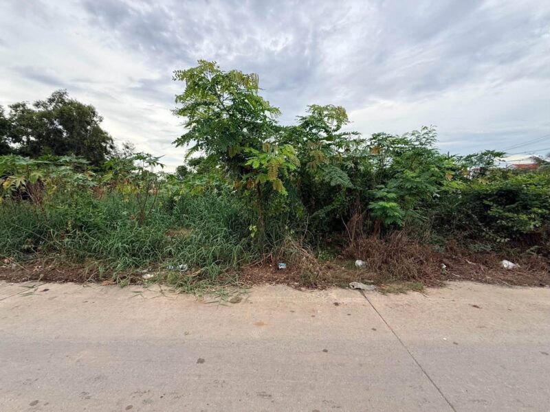 ขายด่วนที่ดินคลองสอง 363 ตรว ติดถนนคอนกรีต ซ.บงกช 69 อ.คลองหลวง จ.ปทุมธานี