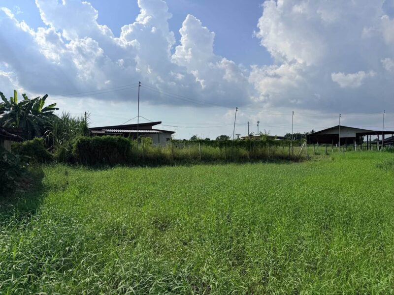 ขายด่วนที่ดิน 182 ตรว เหมาะสร้างบ้านสวน ต.สวนป่าน อ.เมืองนครปฐม จ.นครปฐม