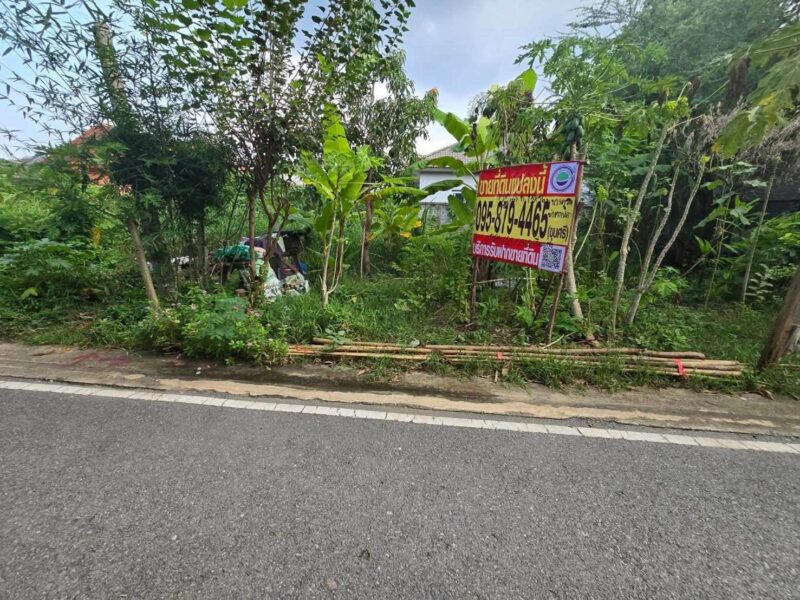 ขายด่วนที่ดิน 52 ตรว ติดถนนลาดยางสาธารณะ ถมแล้ว ต.บางคูรัด อ.บางบัวทอง จ.นนทบุรี