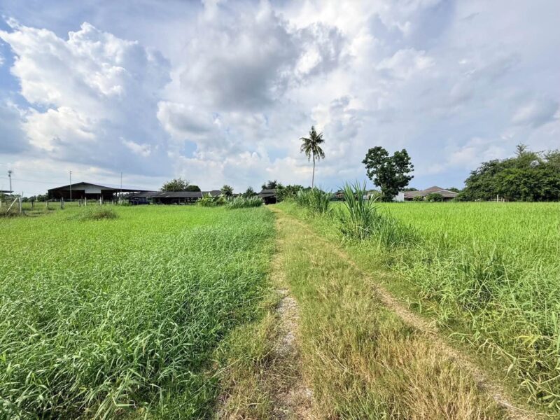 ขายด่วนที่ดิน 182 ตรว เหมาะสร้างบ้านสวน ต.สวนป่าน อ.เมืองนครปฐม จ.นครปฐม