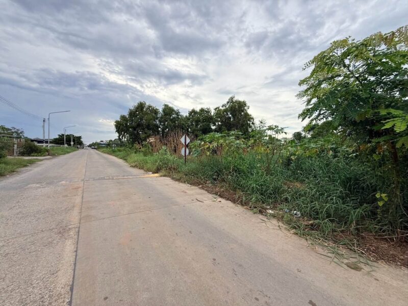 ขายด่วนที่ดินคลองสอง 363 ตรว ติดถนนคอนกรีต ซ.บงกช 69 อ.คลองหลวง จ.ปทุมธานี