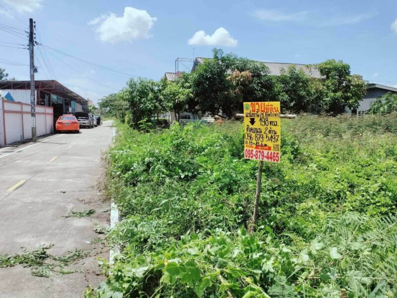 ขายด่วนที่ดิน 198 ตรว ติดถนนคอนกรีตสาธารณะ 2 ด้าน ซ.ลิขิตไก่ย่าง บางบัวทอง นนทบุรี